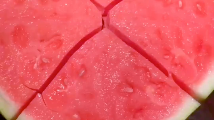 What did you do as a child that you can brag about?