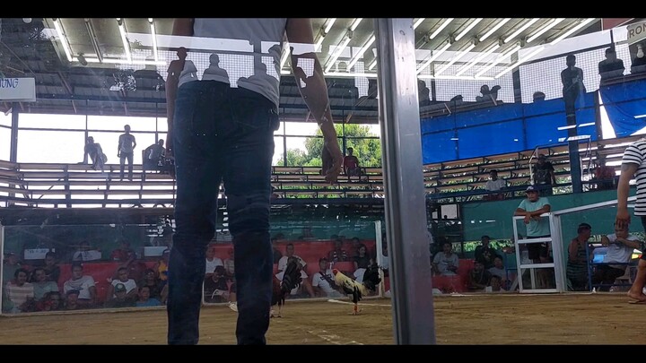 hindi hiyang sa bigay bawi next time talo