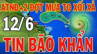 Dự báo thời tiết hôm nay và ngày mai 12/6/2024 | Dự báo thời tiết đêm nay mới nhất