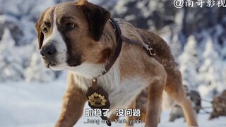 看得我热血沸腾，给我套个绳子，我也要跑