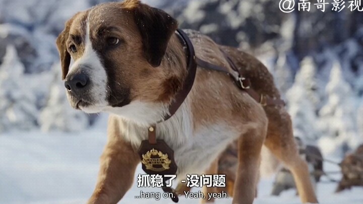 看得我热血沸腾，给我套个绳子，我也要跑