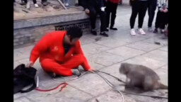 บ้าไปแล้ว!