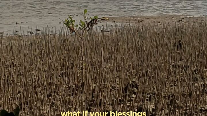 #blessingforus