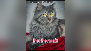 She’s so cute cat pet petportrait animalfriends furbaby