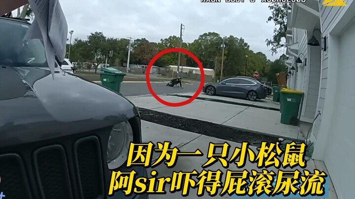 Siapa sih yang begitu nggak berdaya?