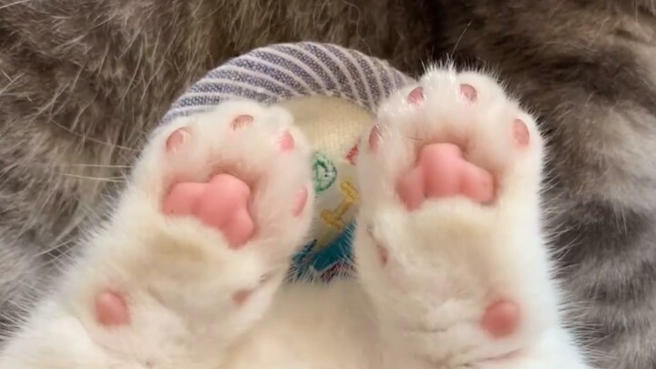 It’s late—time to watch some seriously beefy guys.