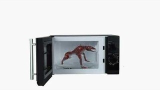 Scp-939 in a microwave