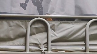 发挥宿友最后的价值