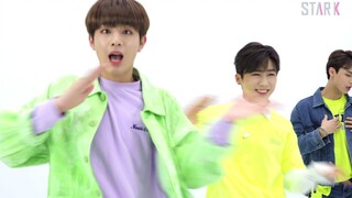 向噜妹大前辈致敬!新人男团DONGKIZ清爽活泼翻跳大热曲Nonstop