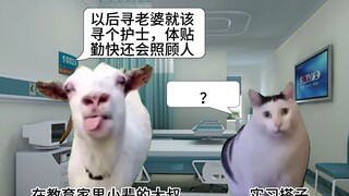 【ميم قطة】ميم قطة ولكن الابتسامة معلقة في الحياة ‖ الحياة اليومية الفوضوية لمتدرب التمريض ‖ من الجحيم