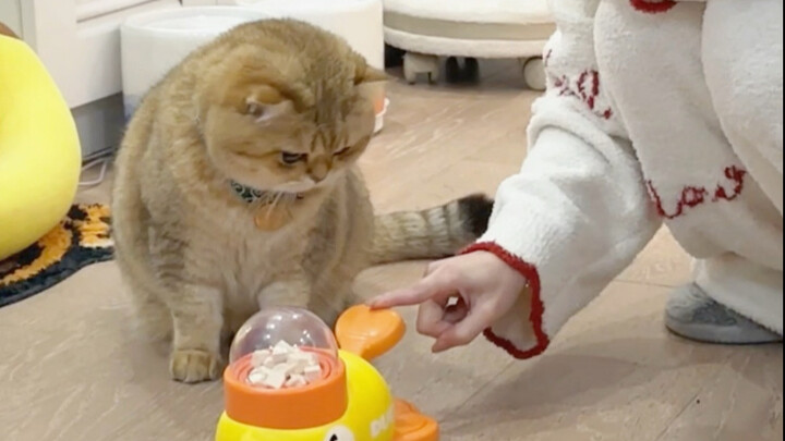 One dares to teach, one is willing to learn.