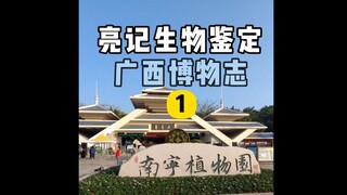 【Nhận dạng sinh học Lương Tế】Lịch sử tự nhiên Quảng Tây Tập 1