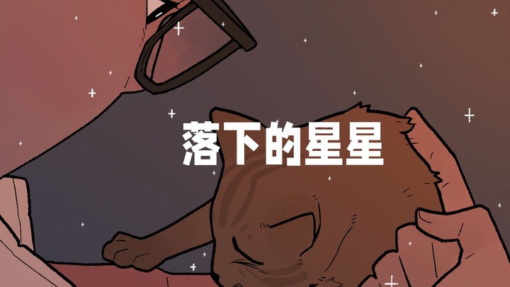 I’m Lao Li. I really did encounter a falling star...