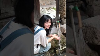 💗 Adorable！！Shen Yue~~ #沈月 #林一 #linyi #刘浩存 #drama #chinesedrama #cdrama #shorts