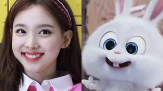 【林娜琏】这是整个南韩独一无二的兔相爱豆吧！