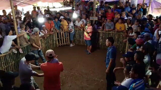 Gilmore Gatch Cross To Oak Grove Hatch 4x winner