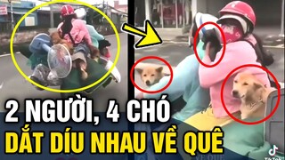 Hai vợ chồng dắt díu về quê, chở theo '4 CHÚ CHÓ' dù nghèo khó nhưng 'KHÔNG BỎ RƠI NHAU'