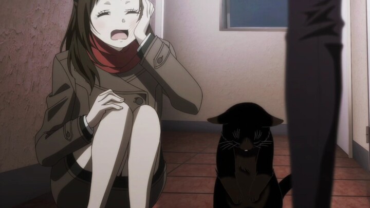 It's great to have a cat that will apologize for you!!