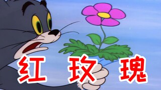 “玫瑰的红，容易受伤的梦”