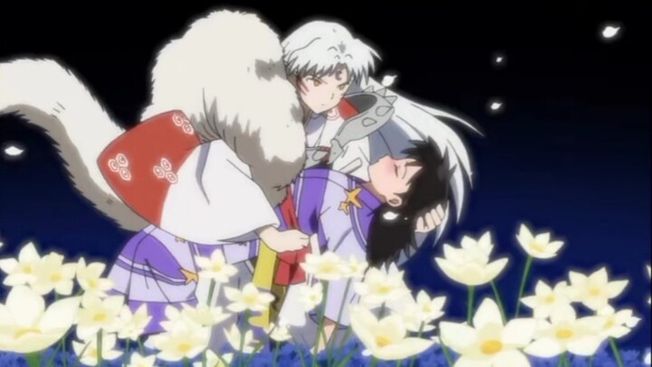 【เส็ตโชมารู♥ เบลล์】เส็ตโชมารูผู้อ่อนโยนและทรงพลัง VS กระดิ่งดวงอาทิตย์อันอบอุ่น