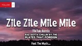ZILE ZILE MILE MILE TikTok Remix