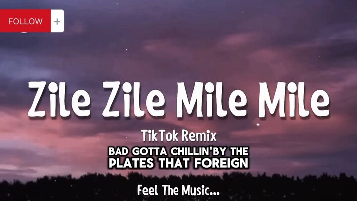 ZILE ZILE MILE MILE TikTok Remix