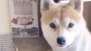 Badutnya ternyata adalah diriku sendiri……