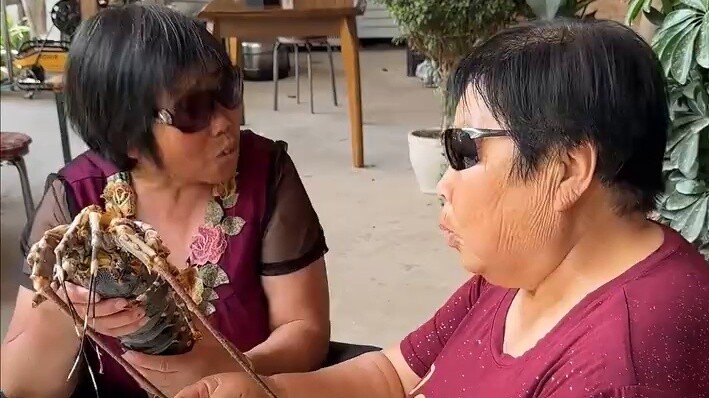 Taruh lobster di mie panggang dingin! Dapatkah Anda mempercayainya?