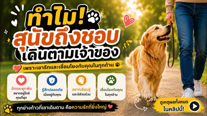 เดินไปกินน้ำก็เดินตาม เข้าห้องน้ำยังต้องมานั่งเฝ้า...
