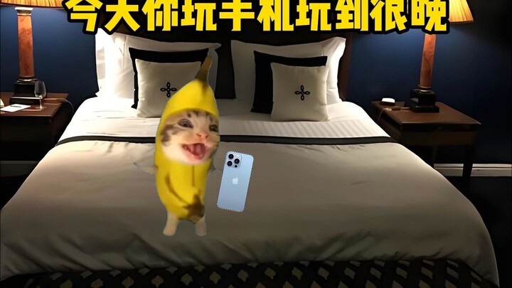 Khi bạn chơi điện thoại đến rất khuya