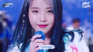 IU(아이유) 'Blueming(블루밍)' 라이브🎤🎤(밴드ver.) | 가사 | 스페셜클립 | Special Clip | LYRICS [4K]