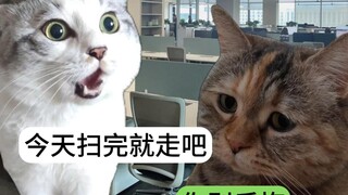 当公司裁员裁到大动脉