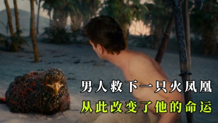 A man released a fire phoenix, and unexpectedly from then on, he soared to the peak of his life.