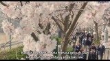 Ao Haru Ride [Live Action] Sub Indo