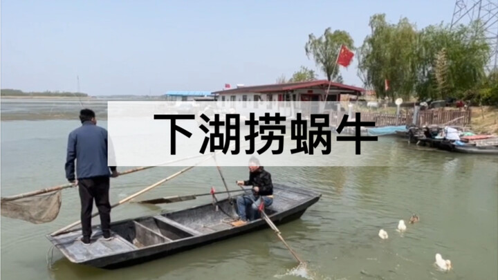Thời tiết ấm dần lên, những món ngon dưới hồ cũng phong phú hơn; hôm nay xuống hồ săn bắt, vớt vài c