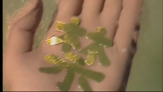 同样的地方同样的字，但猴已不是当初的猴