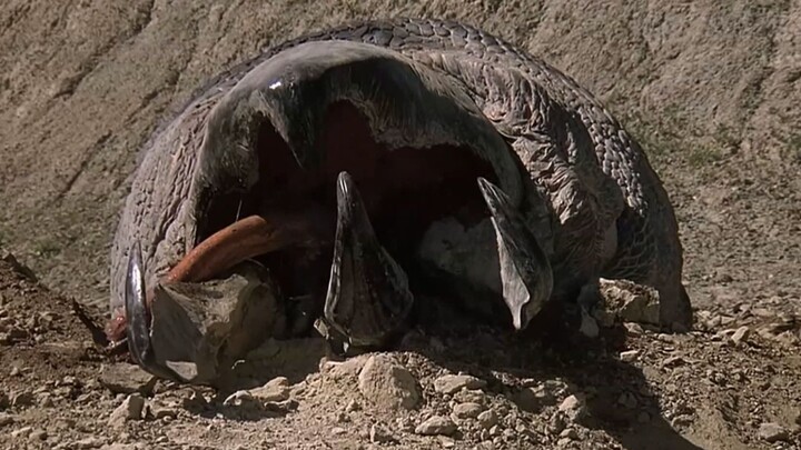 رجل يُمسك حشرة عملاقة جريحة حيّة، فتجد في بطنها 3 ثقوب كبيرة تخرج منها 3 وحوش أكثر رعبًا! [Sci-Fi Fa