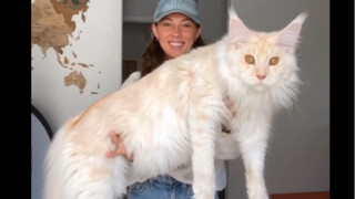 梅恩·库恩成长60秒