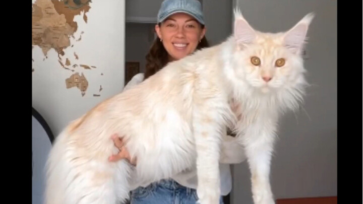 เมย์น คูน เติบโตใน 60 วินาที