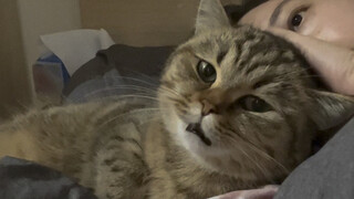 الأم البيولوجية هي بالفعل الأم البيولوجية، أما أنا فما أنا إلا أمٌّ بالتبني فقط.