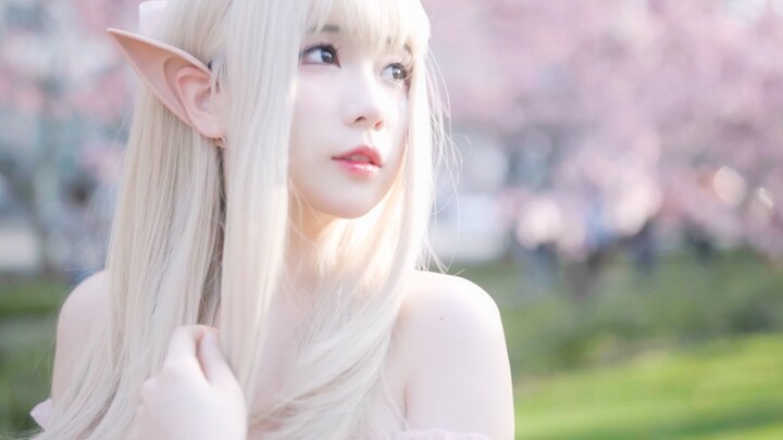 ฉันจะรอคุณอยู่ที่นั่น ณ ที่ซึ่งดอกซากุระบานสะพรั่ง