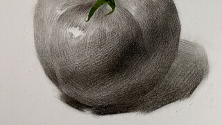 【素描静物】西红柿叶子