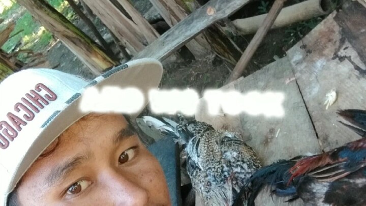 panalo miyahin kaso namatay lang