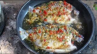 Yummy ! fried freshwater fish - Fried big fish eating delicious