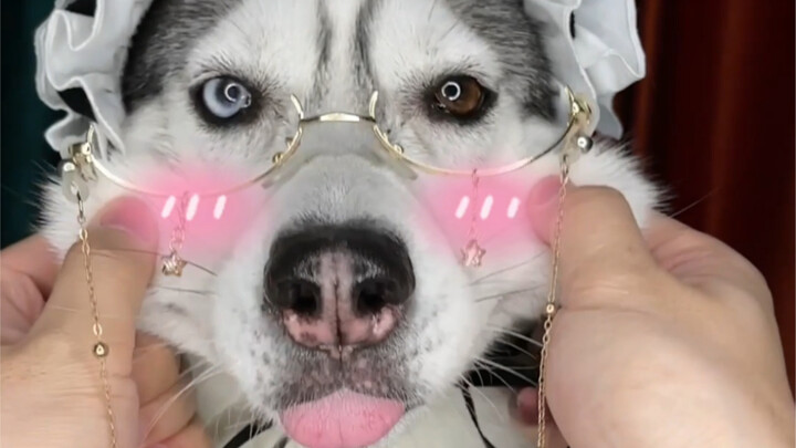 كان من الأفضل ألا أستمع لكم، الآن أصبحوا لا يهتمون بي.