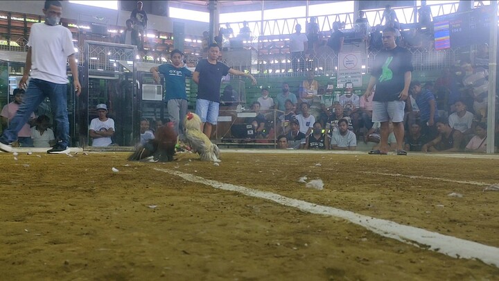 2nd Fight CALAMBA CITY COCKPIT