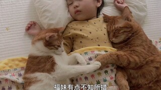 两只橘猫手牵手搂着小主人睡觉，实在太有爱