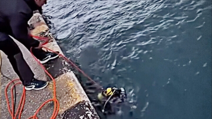 Diver: Hey, buddy, you’d better have a good reason.