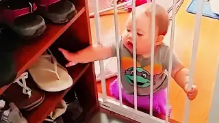 Try Not To Laugh : 99% You won't be able to stop laughing | Funny Videos