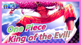 [One Piece/MAD] Doflamingo--- King of the Evil! Winner Represents Justice!